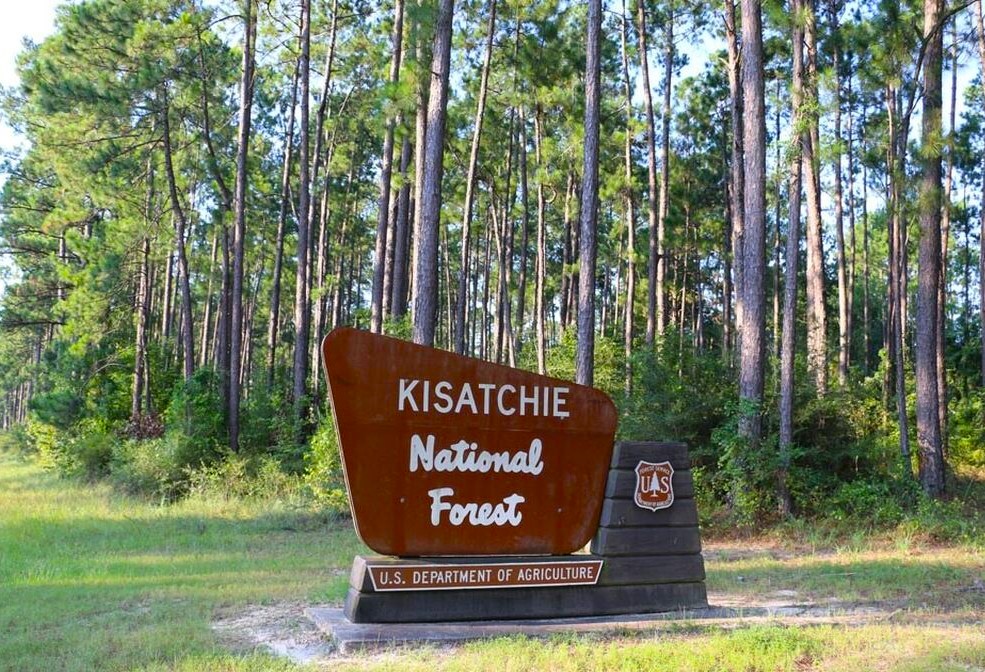 kisatchie national forest