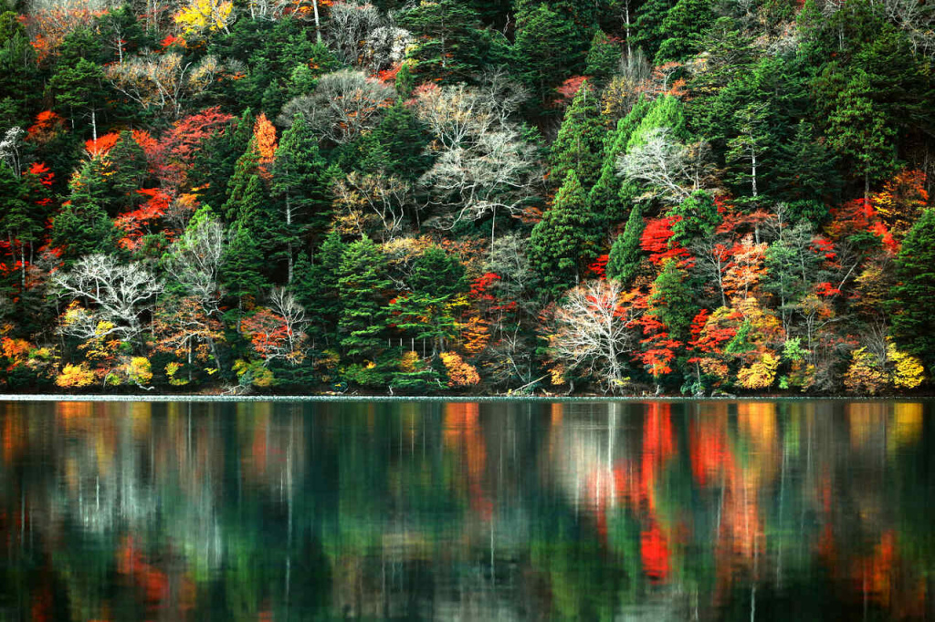 Nikko, Japão no Outono