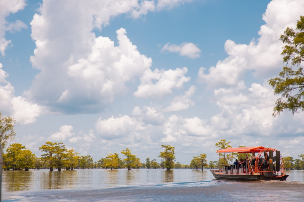 swamps -Atchafalaya Basin