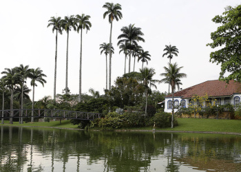 Fazenda das Palmas