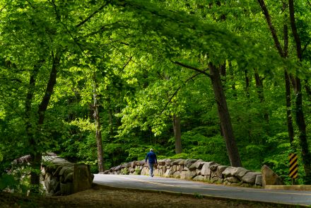Washington DC - Rock Creek Park