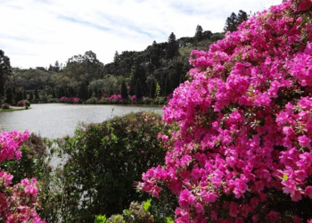 primavera em gramado