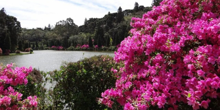 primavera em gramado
