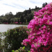 primavera em gramado