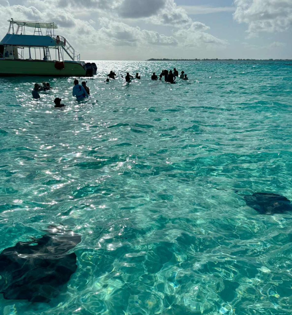 Stingray City Cayman