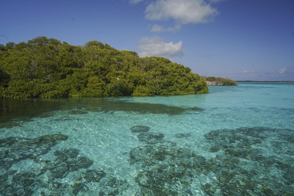 Aldabra - Seychelles