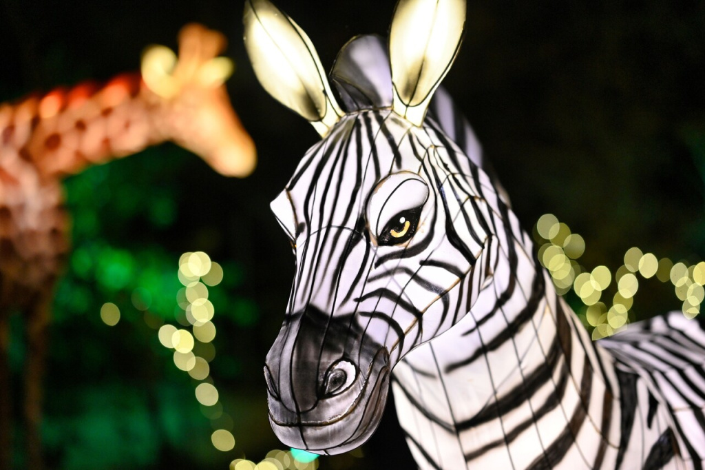 NY Bronx zoo