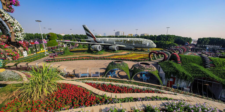 Dubai Miracle Garden