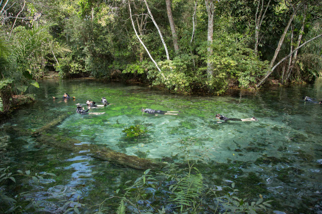 Turismo Bonito Flutuação
