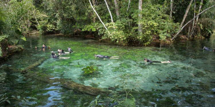 Turismo Bonito Flutuação