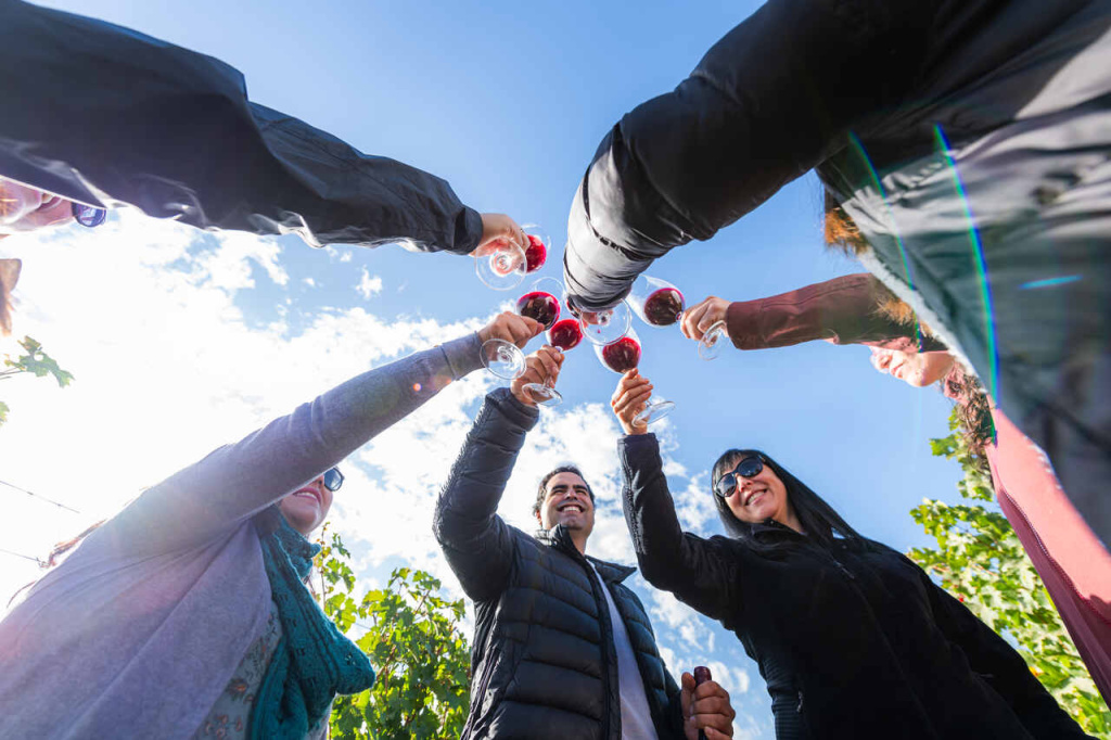 Chile Vinícolas