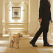 Majestic Hotel pets