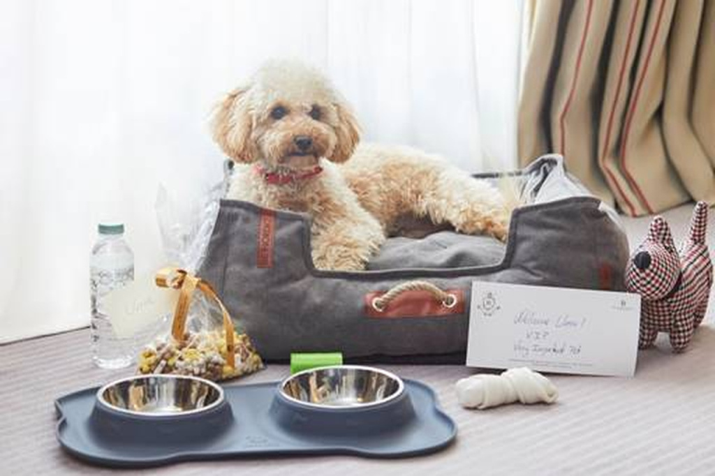 Majestic Hotel pets