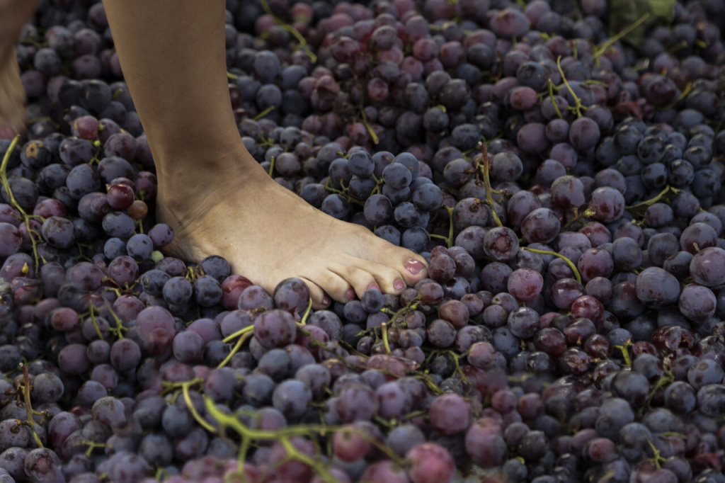 Pisa das uvas - energia