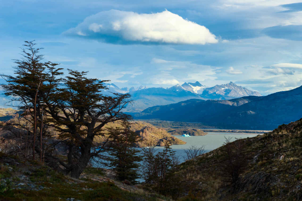vista lago grey