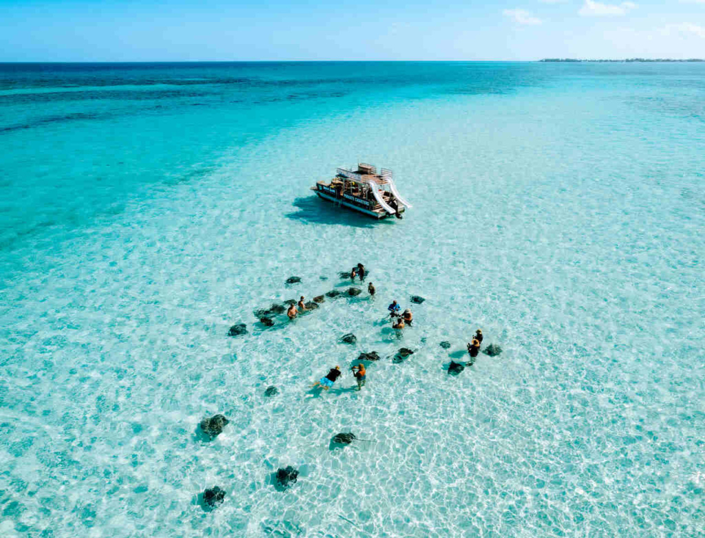 Cayman Stingray City