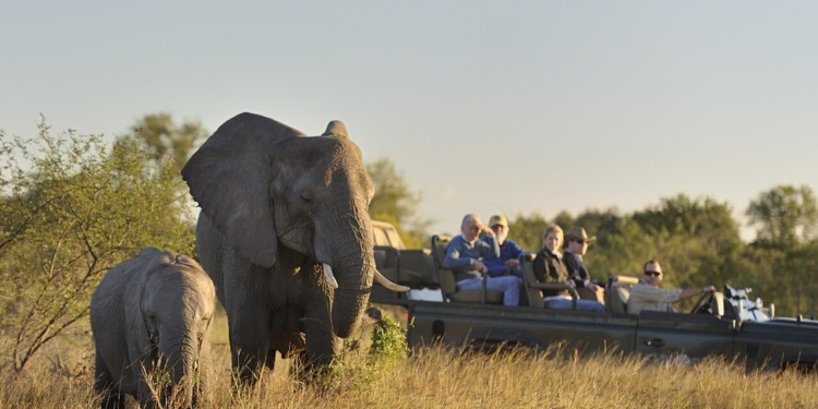 sabi sabi safári