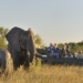 sabi sabi safári