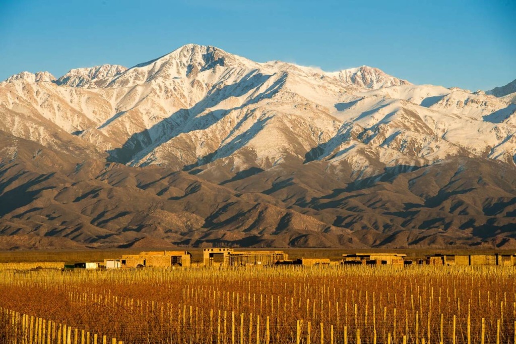 mendoza