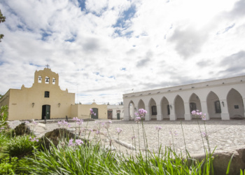 Caminho do Vinho em Salta