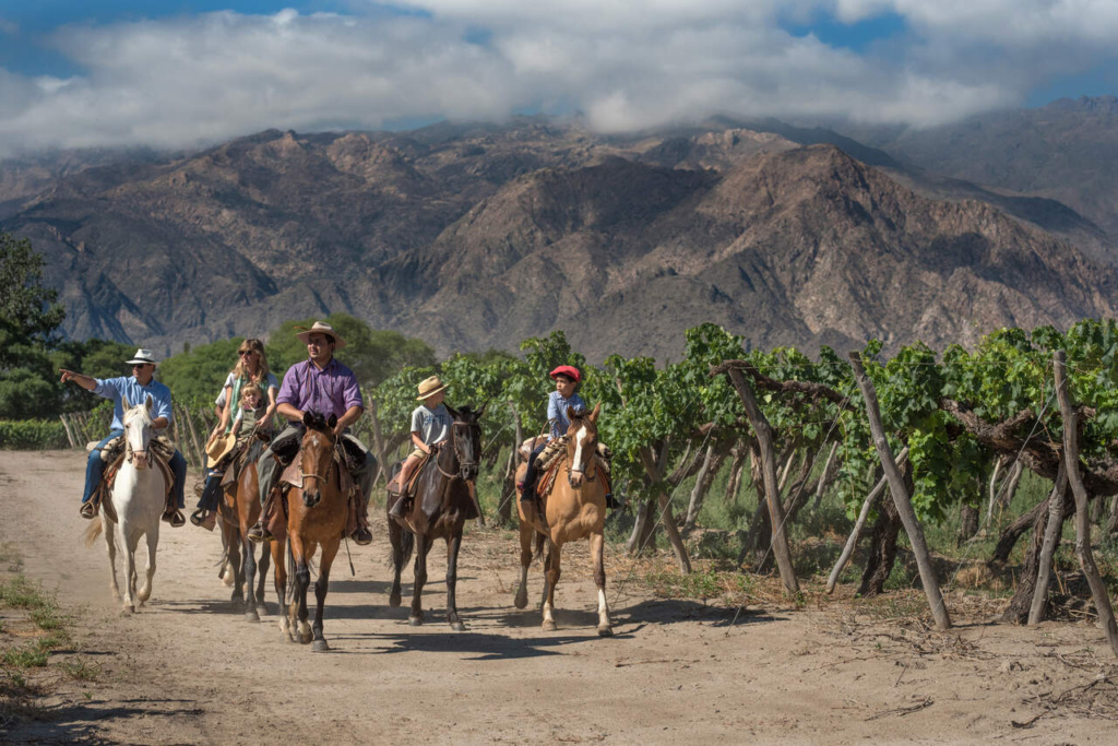 Caminho do Vinho em Salta, Viñedos Cafayate