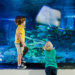 Flórida Central parque SEA LIFE Florida abre no LEGOLAND