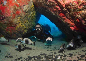 mergulho em Fernando de Noronha