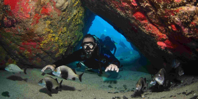 mergulho em Fernando de Noronha