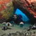 mergulho em Fernando de Noronha
