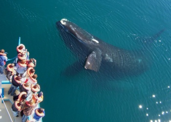 Puerto Madryn