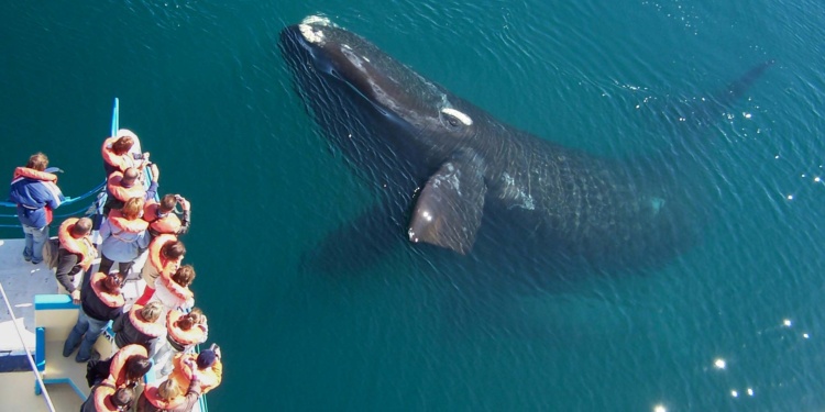 Puerto Madryn