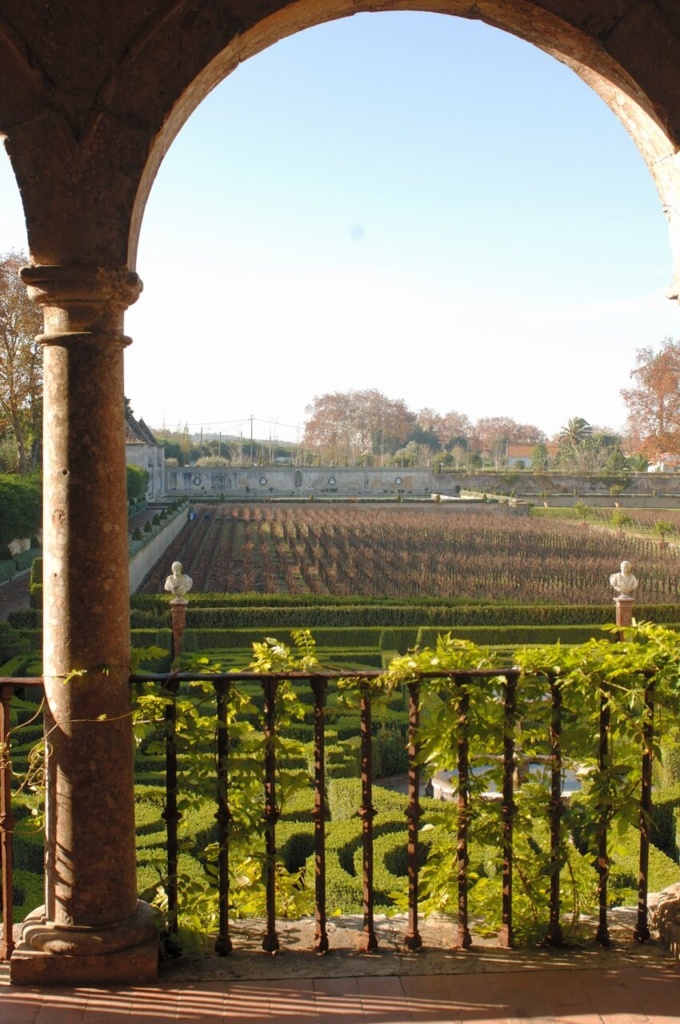 Rota de Vinhos - Península de Setúbal