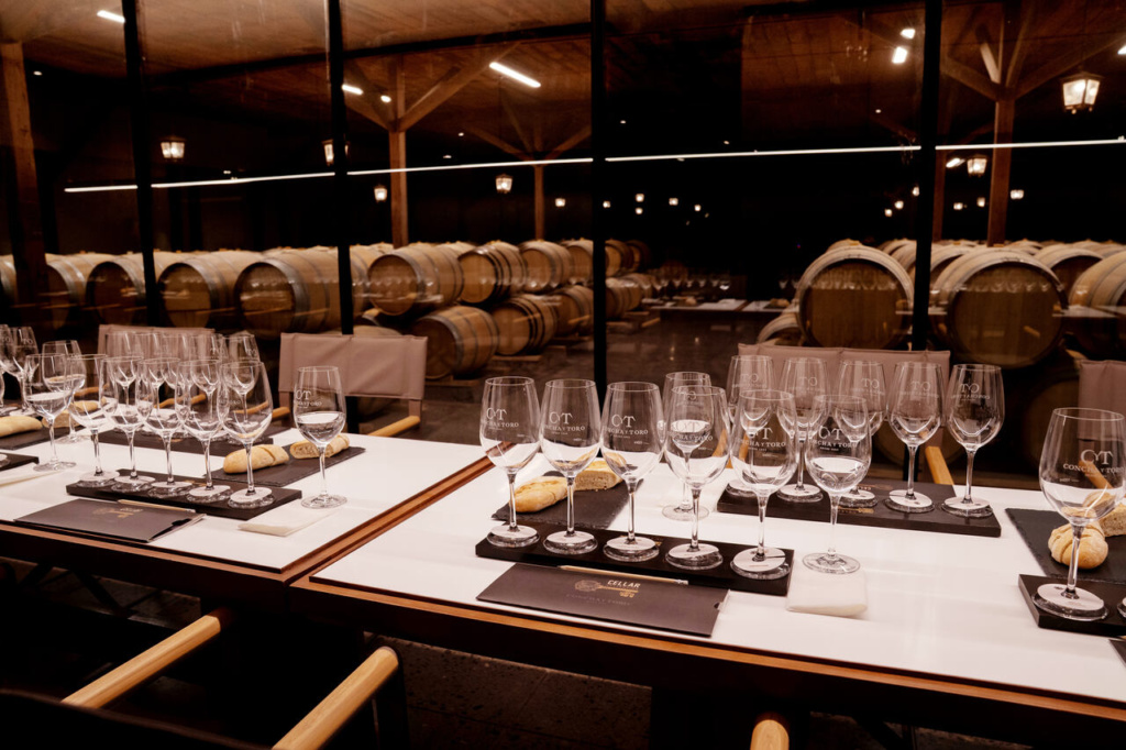 Centro del Vino ConchayToro
