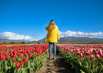 primavera argentina