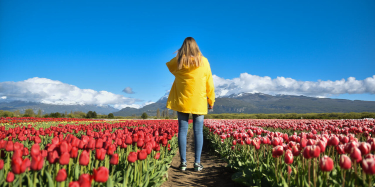 primavera argentina