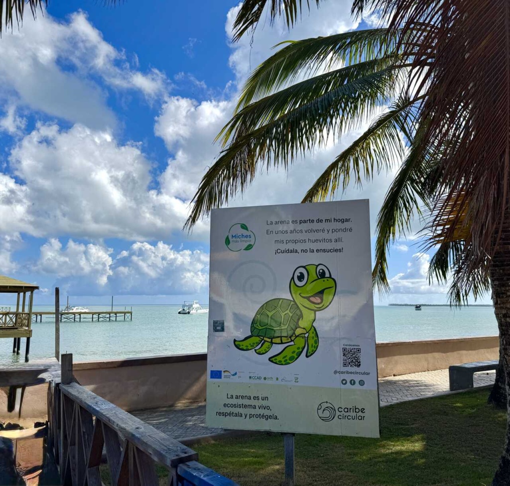 tortugas