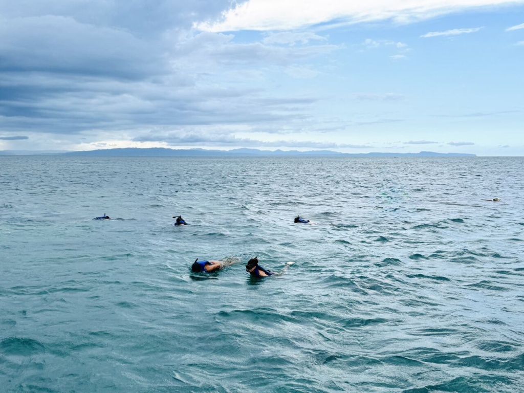 Snorkel miches
