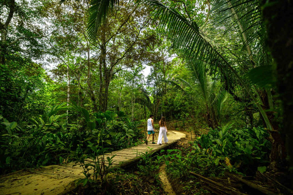 BocasdelToro Panamá