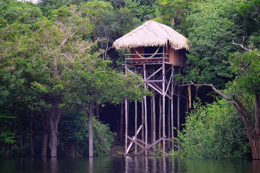 JumaAmazonLodge