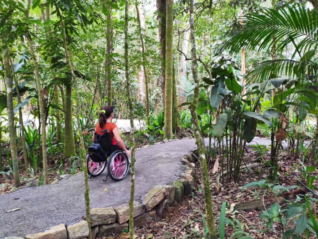 parques naturais Minas Gerais - Itatiaia