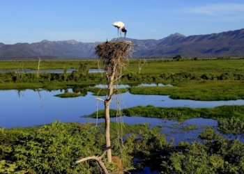 MS - Pantanal - Corumbá - Serra do Amolar