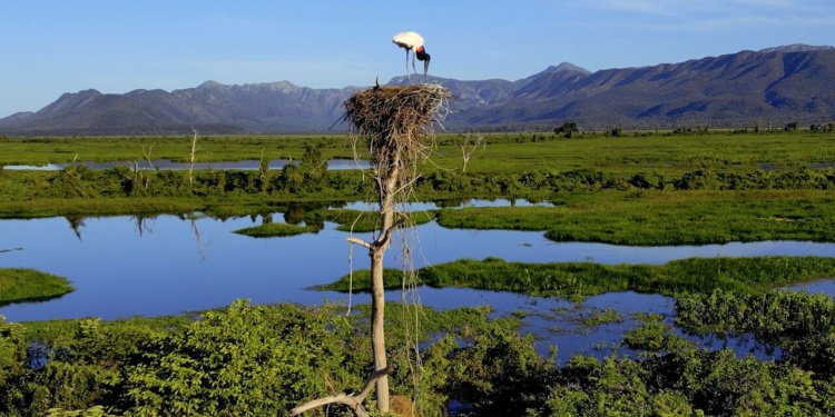 MS - Pantanal - Corumbá - Serra do Amolar