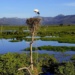 MS - Pantanal - Corumbá - Serra do Amolar