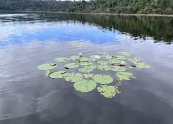 parques naturais Minas Gerais