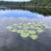 parques naturais Minas Gerais