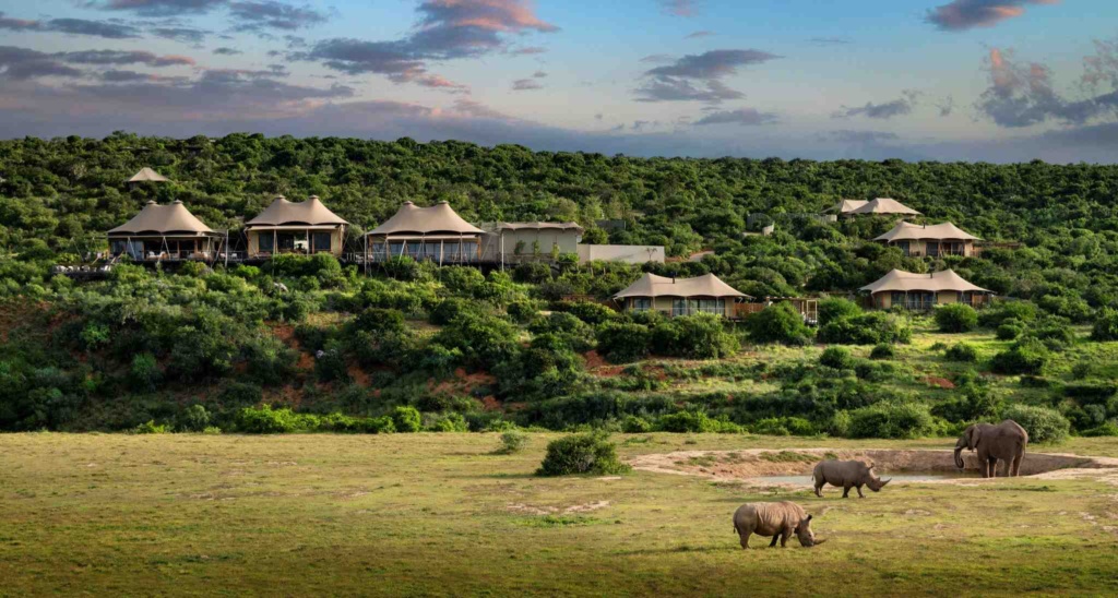 safari africa do sul