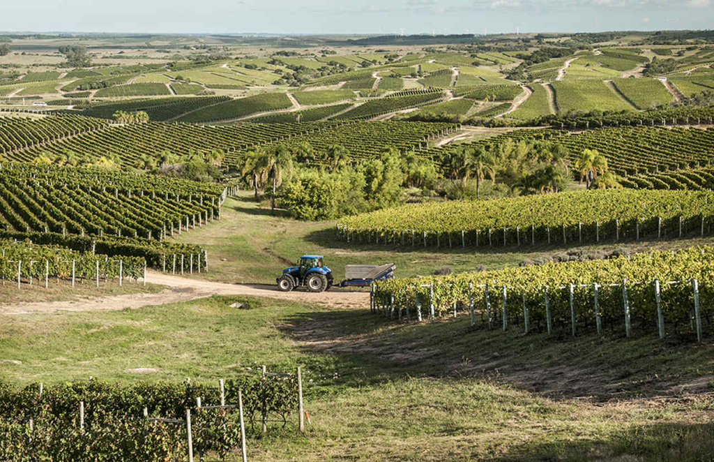 Bodega Garzón - Uruguai