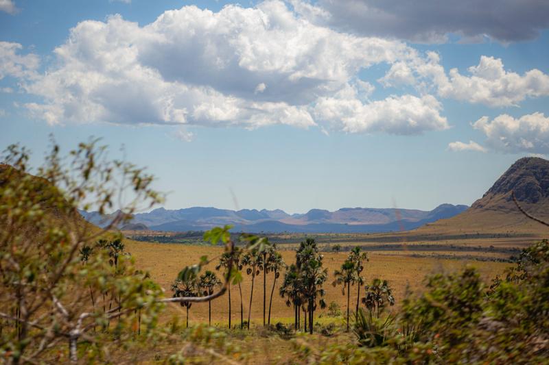 Chapada veadeiros