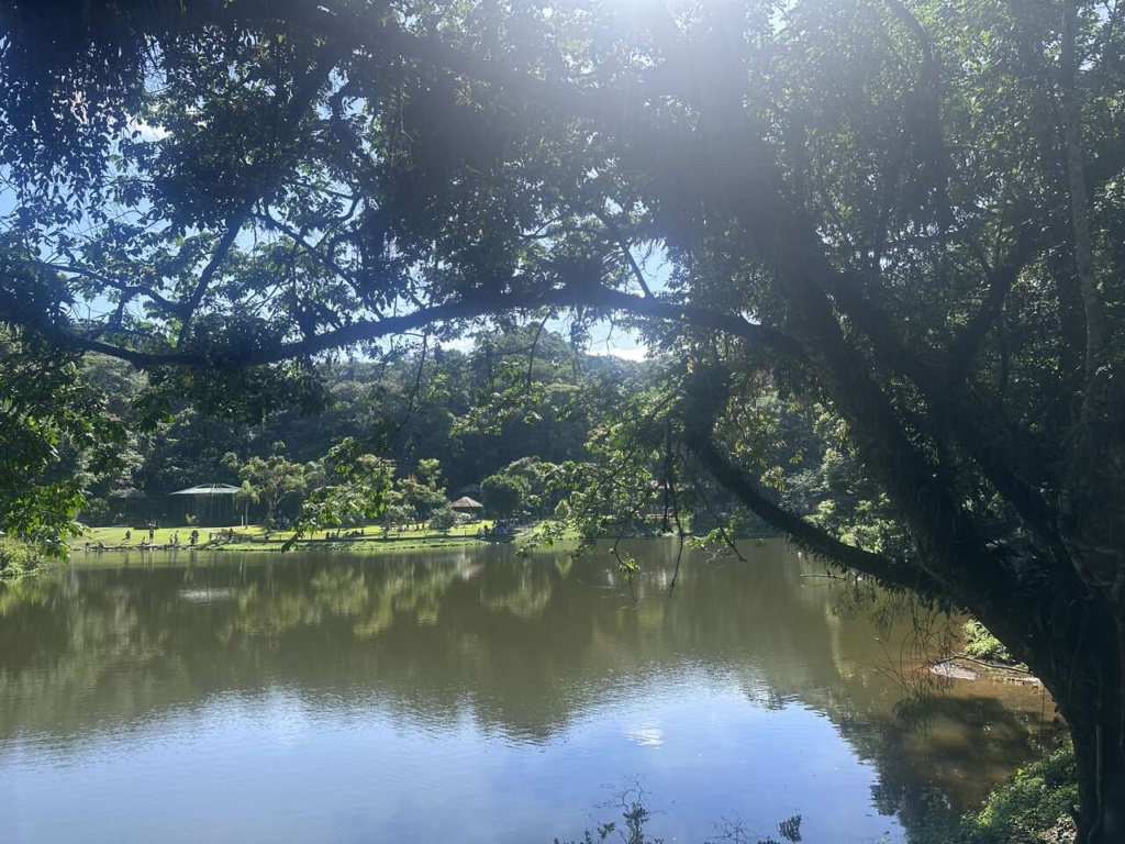 Joiville - Zoobotanico