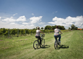 enoturismo no Uruguai